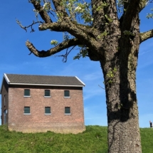 9. Afstudeerwerk beeldende kunst